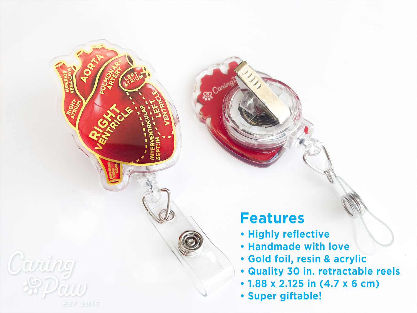 Red & Gold Anatomical Heart Badge Reel