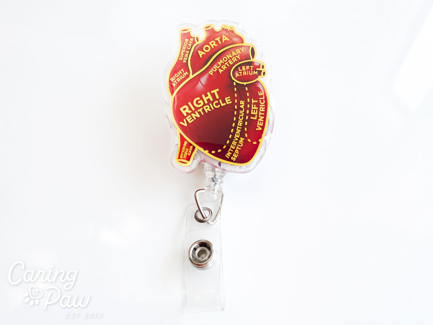 Red & Gold Anatomical Heart Badge Reel