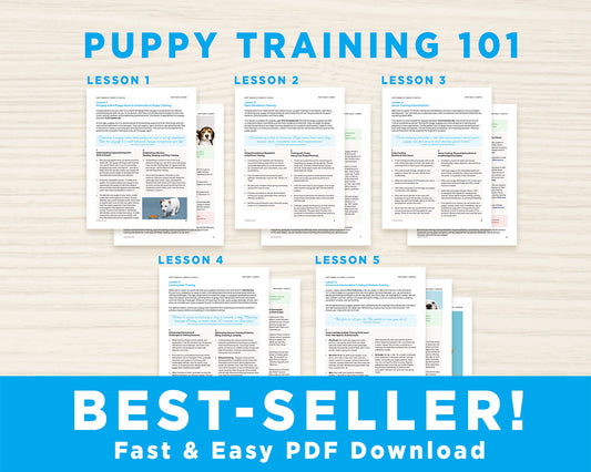 Puppy Training 101: A Beginner's Dog Training Guide for 5 Weeks to 1-Year-Old Pups