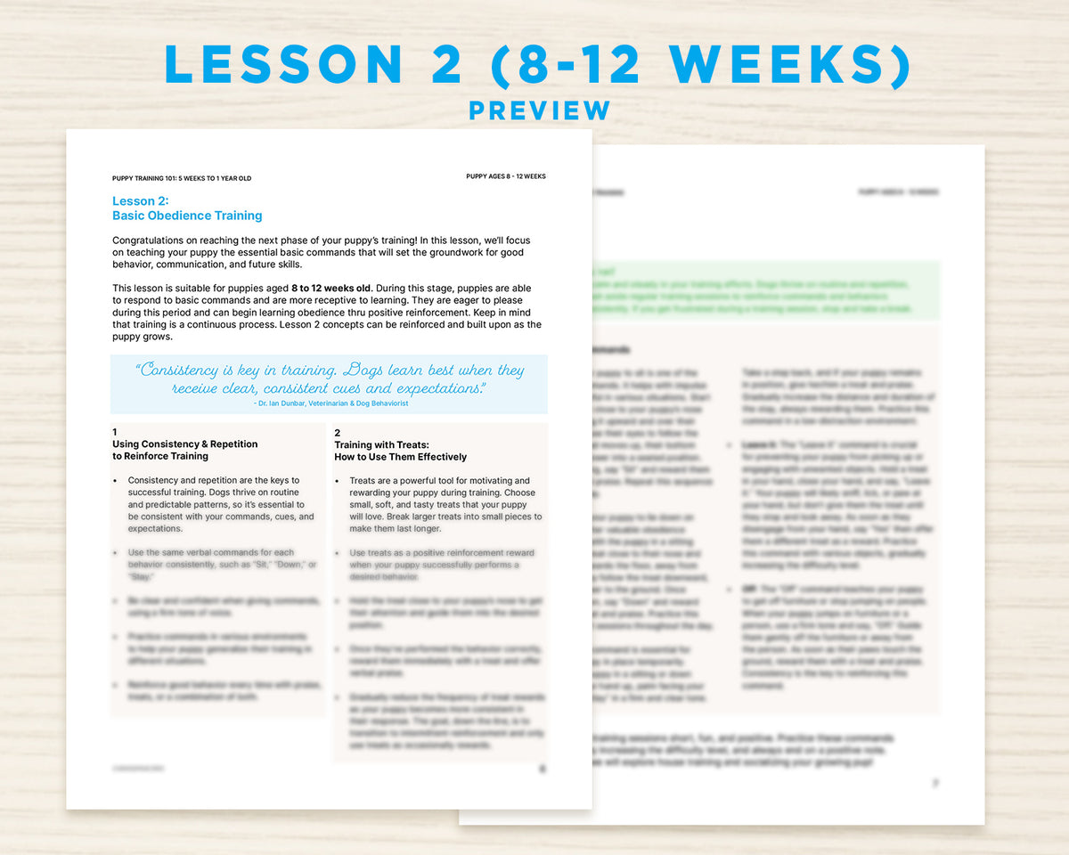 Puppy Training 101: A Beginner's Dog Training Guide for 5 Weeks to 1-Y ...